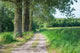 Sandy Path Rural Landscape