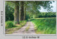 Sandy Path Rural Landscape