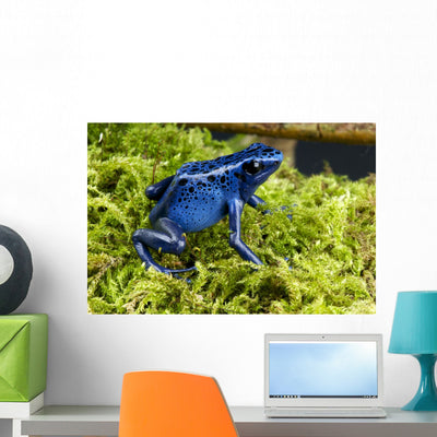 Blue Poison Dartfrog Dendrobates shown on a wall
