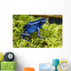 Blue Poison Dartfrog Dendrobates