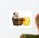 Dog Bath