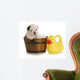 Dog Bath