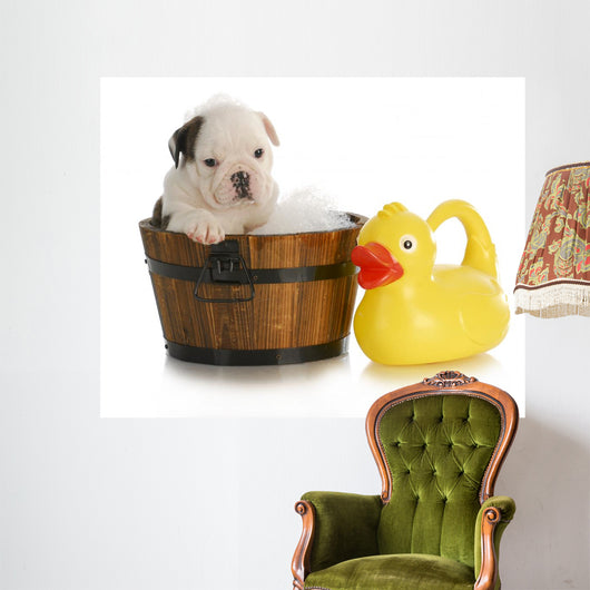 Dog Bath