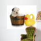 Dog Bath