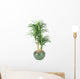 Decorative House Plant