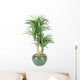 Decorative House Plant