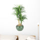 Decorative House Plant