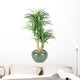 Decorative House Plant