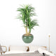 Decorative House Plant