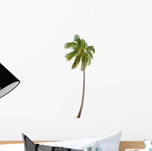 Coconut Palm Tree