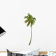 Coconut Palm Tree