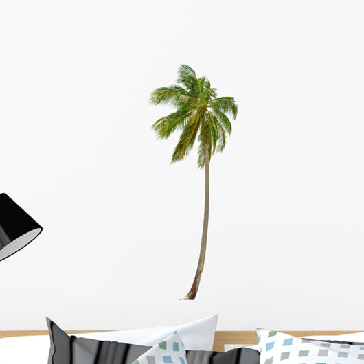 Coconut Palm Tree