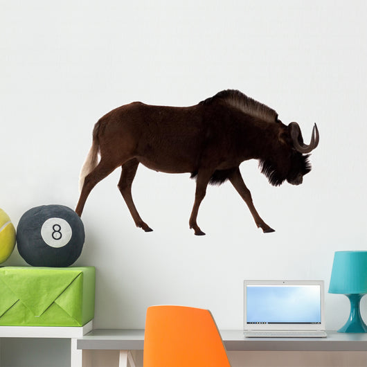 White-tailed Gnu over White Wall Decal