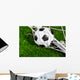 Soccer Ball and Goal Wall Mural