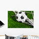 Soccer Ball and Goal Wall Mural