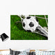 Soccer Ball and Goal Wall Mural