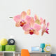 Orchid flowers Wall Decal