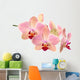 Orchid flowers Wall Decal