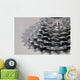 Mountain Bike Gears Wall Mural