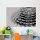 Mountain Bike Gears Wall Mural