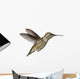 Annas Hummingbird Calypte Anna Wall Decal
