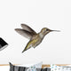 Annas Hummingbird Calypte Anna Wall Decal