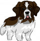 St. Bernard Wall Decal