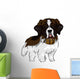 St Bernard