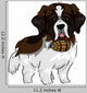 St Bernard