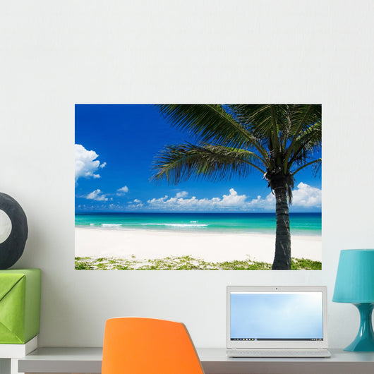 Palm Tree on a Tropical Beach Wall Mural