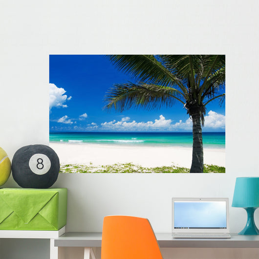 Palm Tree on a Tropical Beach Wall Mural