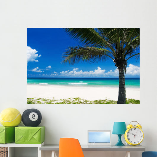 Palm Tree on a Tropical Beach Wall Mural
