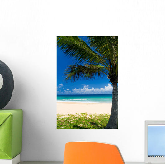 Palm tree on a tropical beach Wall Mural