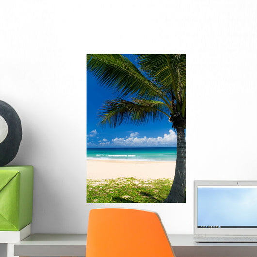 Palm tree on a tropical beach Wall Mural