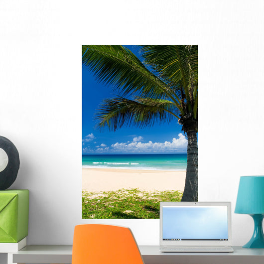 Palm tree on a tropical beach Wall Mural