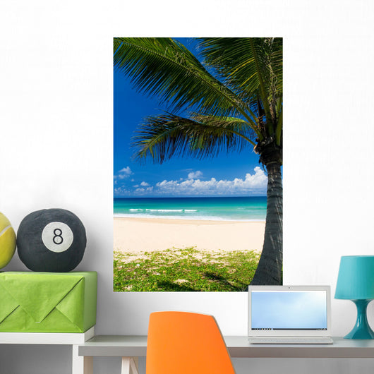 Palm tree on a tropical beach Wall Mural