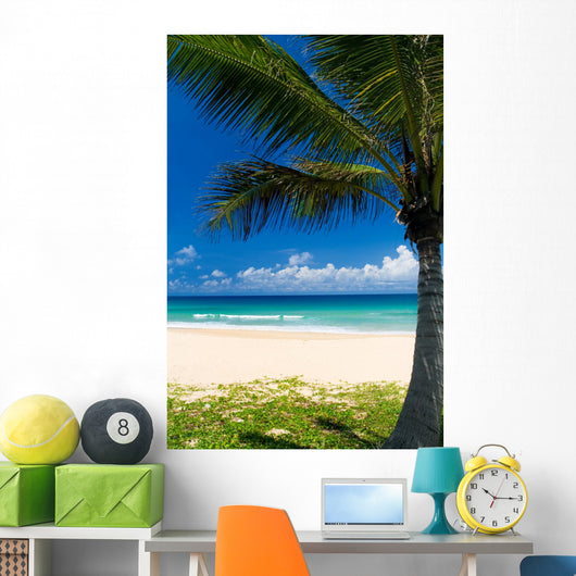 Palm tree on a tropical beach Wall Mural