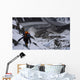 view from K2 Wall Mural