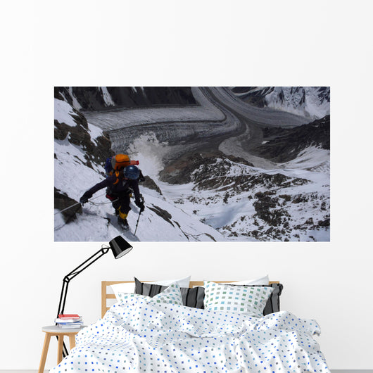 view from K2 Wall Mural