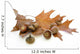 Leaves and acorns Wall Decal