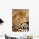 Leopard Wall Mural