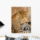 Leopard Wall Mural