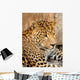 Leopard Wall Mural