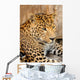 Leopard Wall Mural