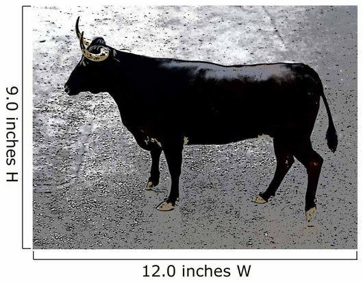 Toros En Monserrat Valencia