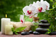 Spa Concept