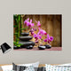 spa concept Wall Mural