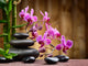 spa concept Wall Mural