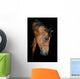 Trakehner Stallion Barn