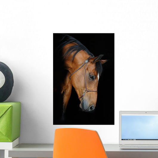 Trakehner Stallion Barn